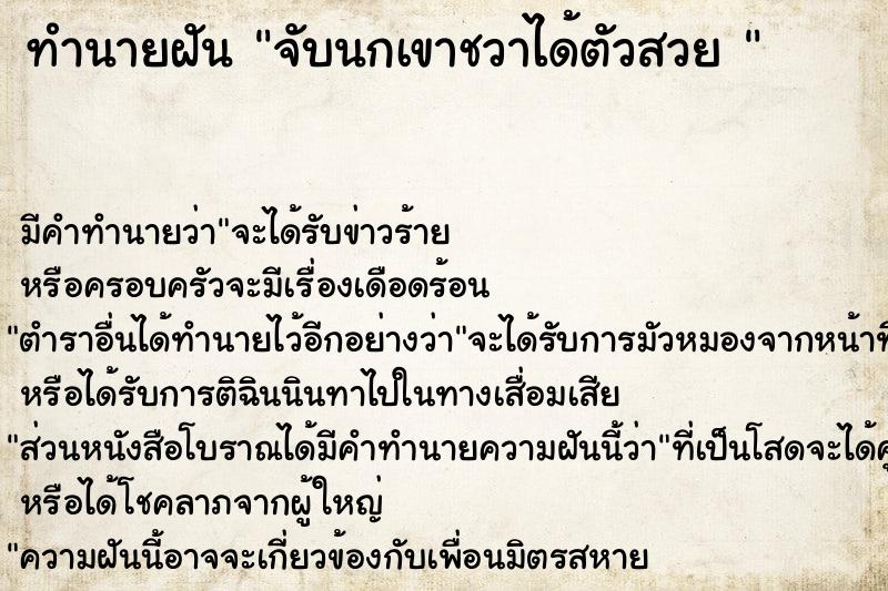 ทำนายฝันทำนายฝันจับนกเขาชวาได้ตัวสวย